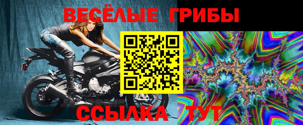 Псилоцибиновые грибы мицелий Железноводск