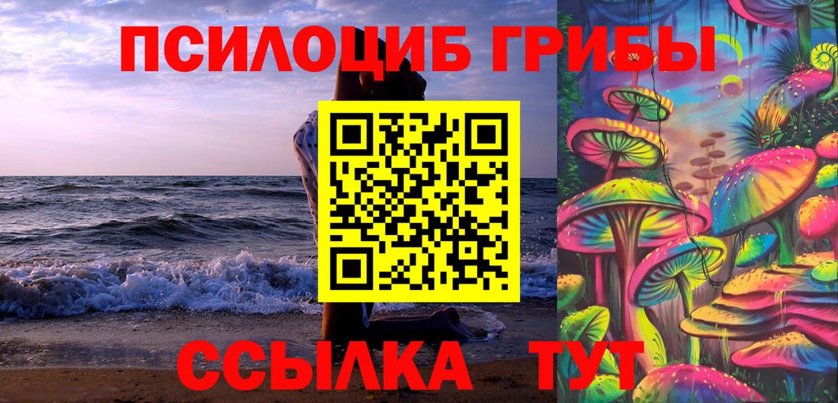закладки  Псилоцибиновые грибы прущие грибы  Вход с VPN  Железноводск  Псилоцибиновые грибы ЛСД 
